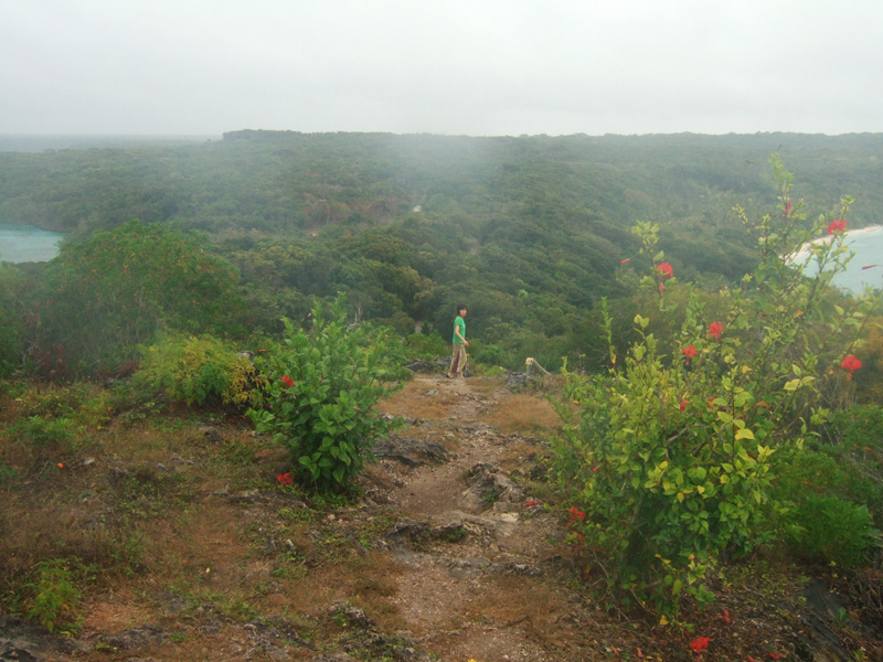 forest near the Chapelle Notre Dame de Lourdes at Lifou