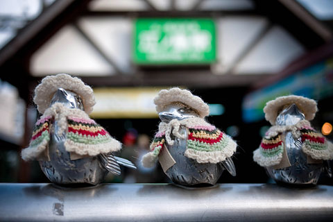 江ノ島駅の暖かそうな小鳥たち
