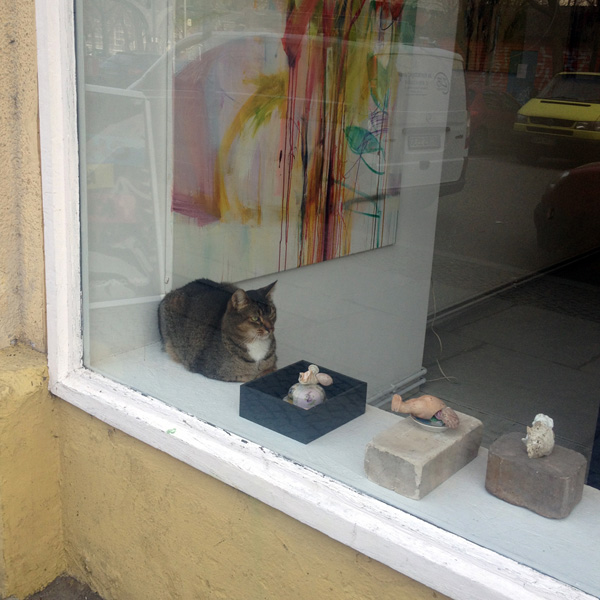 a cat sitting alongside the artworks in a gallery