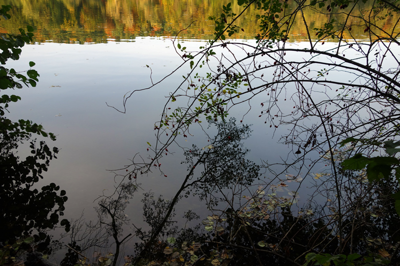 Schlachtensee